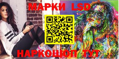 индика Рузаевка