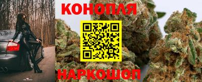 индика Рузаевка