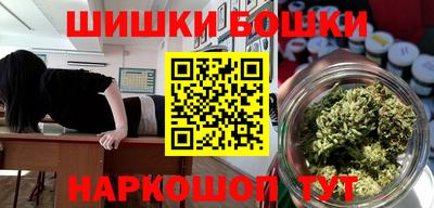 индика Рузаевка