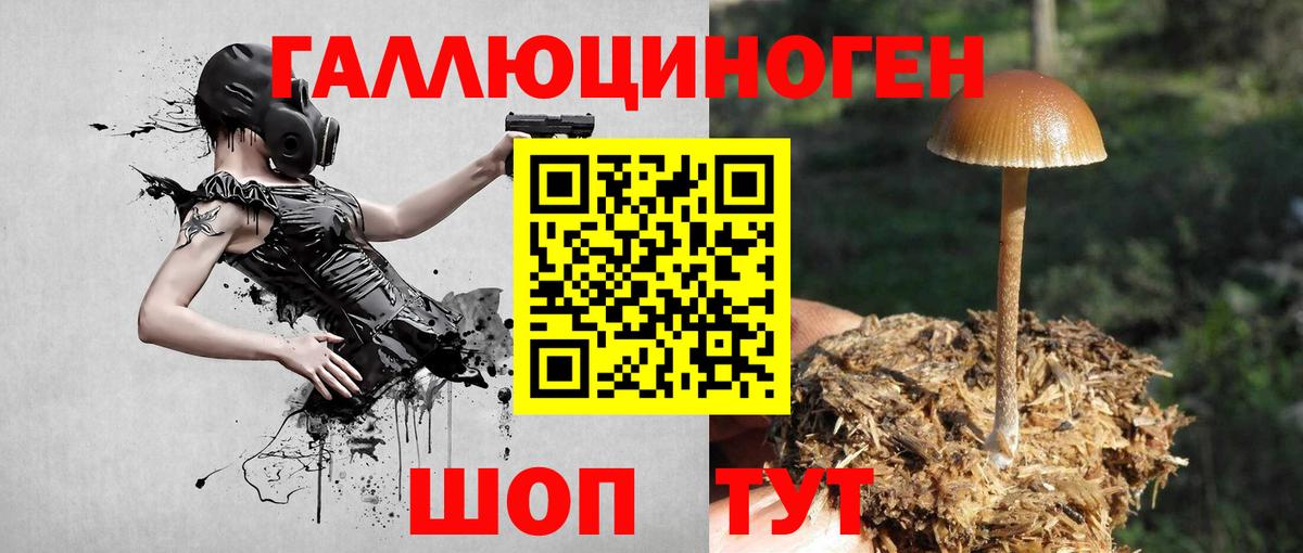 Псилоцибиновые грибы ЛСД  Вход с VPN  Строитель  Псилоцибиновые грибы мухоморы 