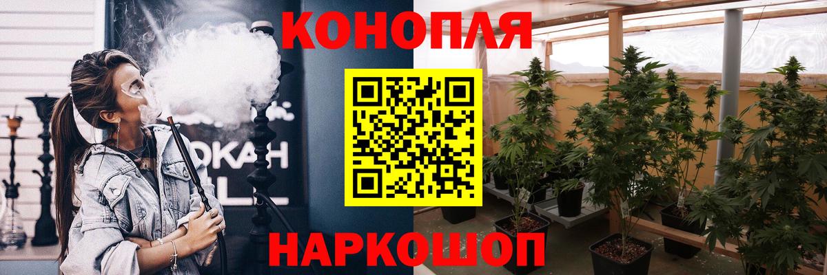 Канабис план  Вход с VPN  Конопля THC 21%  Конопля Bruce Banner  Строитель 